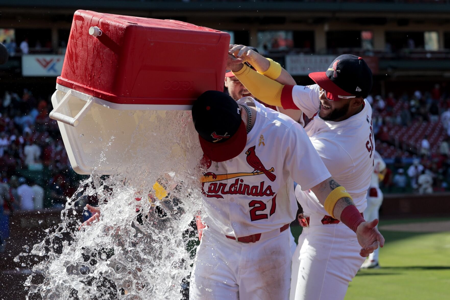 The St. Louis Cardinals host the San Francisco Giants